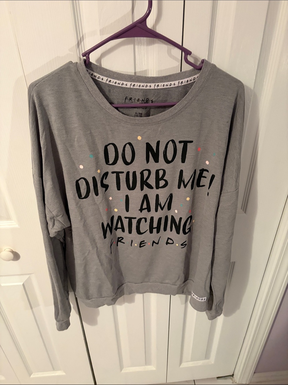 FRIENDS Gray Long-Sleeve Sweatshirt with 'Do Not Disturb Me' Graphic